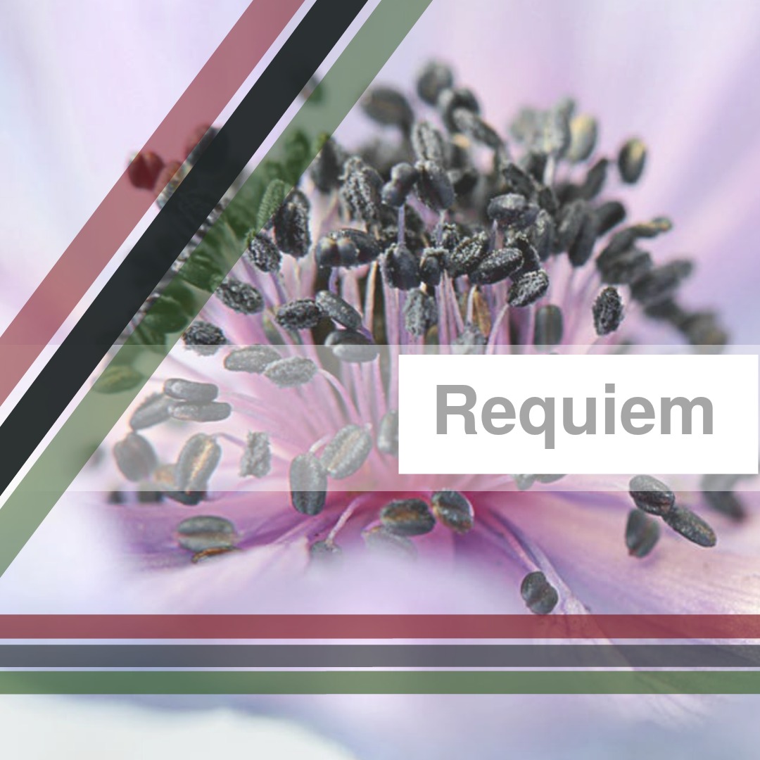 Le Requiem de Noël